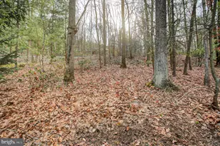 8147 Michaux Dr, Fayetteville, PA 17222 - Photo 39