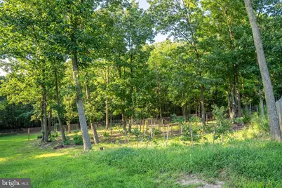 3035 Stillhouse Hollow Road, Shippensburg, PA 17257 - Photo 59