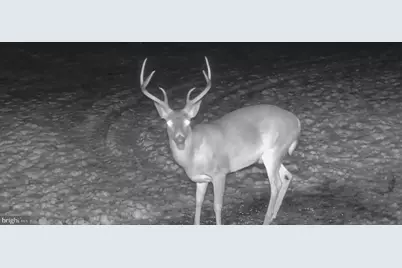 3035 Stillhouse Hollow Road, Shippensburg, PA 17257 - Photo 125