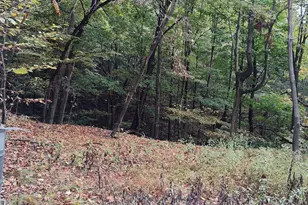 22000 Horse Valley Rd, Doylesburg, PA 17219 - Photo 7