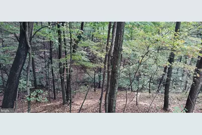 22000 Horse Valley Road, Doylesburg, PA 17219 - Photo 9