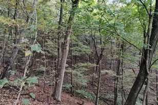 22000 Horse Valley Rd, Doylesburg, PA 17219 - Photo 21