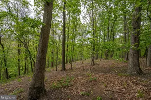 2384 Castlegreen Dr, Greencastle, PA 17225 - Photo 87
