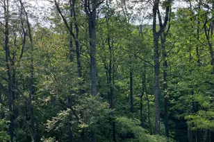 14200 Northern Lights Drive, Mercersburg, PA 17236 - Photo 33