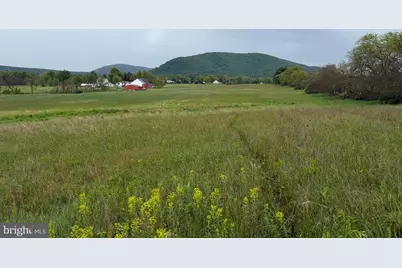 12591 Shimpstown Road, Mercersburg, PA 17236 - Photo 55