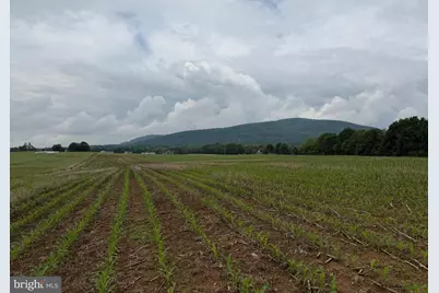 152+/- Acre Farm At 9385 Royer Rd, Mercersburg, PA 17236 - Photo 51