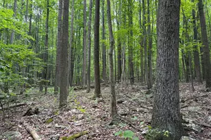 23360 Burns Valley Rd, Doylesburg, PA 17219 - Photo 121