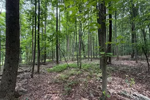 23360 Burns Valley Rd, Doylesburg, PA 17219 - Photo 127