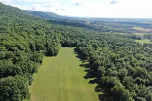 Tract 1: 56+/- Acres At 9611 Circle Dr, Chambersburg, PA 17202 - Photo 19