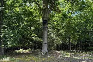 Tract 1: 56+/- Acres At 9611 Circle Dr, Chambersburg, PA 17202 - Photo 39