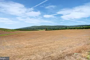 7046 Mentzer Gap Rd, Waynesboro, PA 17268 - Photo 27