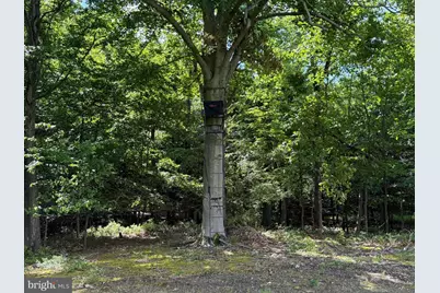 Tract 1: 56+/- Acres At 9611 Circle Drive, Chambersburg, PA 17202 - Photo 39