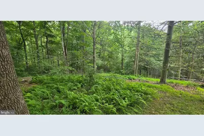 22760 Loop Road, Doylesburg, PA 17219 - Photo 35