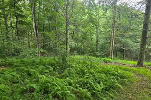 22760 Loop Rd, Doylesburg, PA 17219 - Photo 35