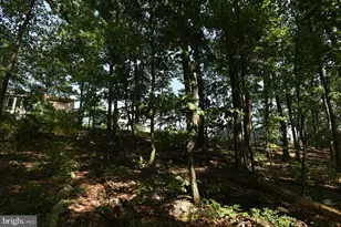 8652 Mormon Church Rd, Waynesboro, PA 17268 - Photo 29
