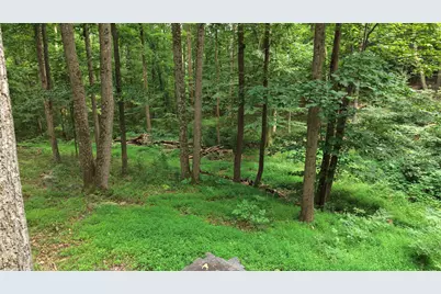 15630 Bricker Road, Fort Loudon, PA 17224 - Photo 3