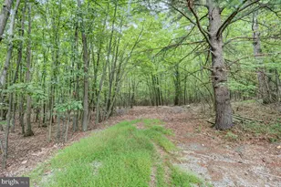 3035 Stillhouse Hollow Rd, Shippensburg, PA 17257 - Photo 71