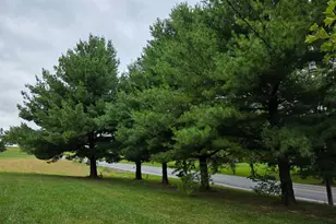 [Address not provided], Mercersburg, PA 17236 - Photo 5
