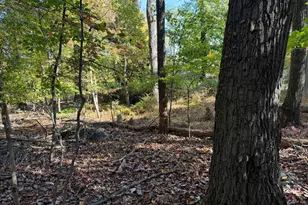 12605 Pennersville Rd, Waynesboro, PA 17268 - Photo 41