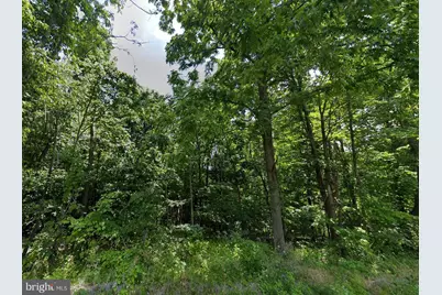 McKees Gap - Lot #7, Warfordsburg, PA 17267 - Photo 13