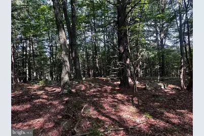 1217 Barton Road, Breezewood, PA 15533 - Photo 61