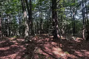 1217 Barton Rd, Breezewood, PA 15533 - Photo 61