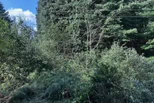 1217 Barton Rd, Breezewood, PA 15533 - Photo 57