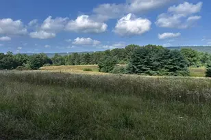 1217 Barton Rd, Breezewood, PA 15533 - Photo 51