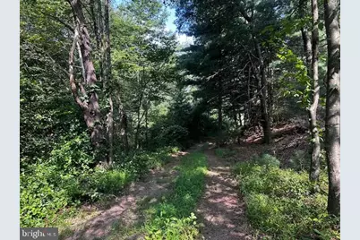 1217 Barton Road, Breezewood, PA 15533 - Photo 63