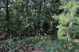 1217 Barton Rd, Breezewood, PA 15533 - Photo 43