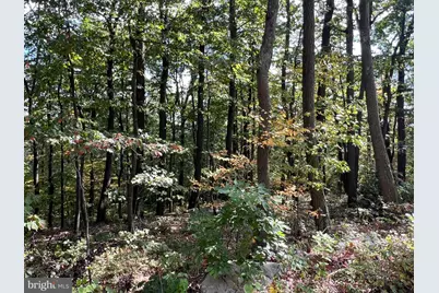 Lot 31 Woodlawn Drive, Crystal Spring, PA 15536 - Photo 3