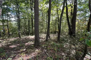 Lot 31 Woodlawn Dr, Crystal Spring, PA 15536 - Photo 1