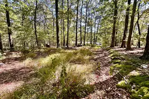 6805 Black Bear Rd, Needmore, PA 17238 - Photo 31