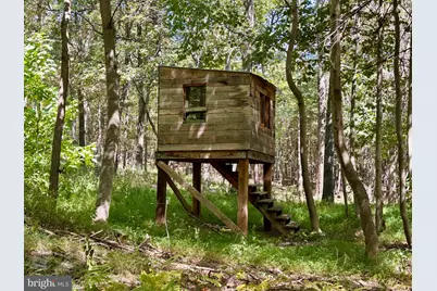 6805 Black Bear Road, Needmore, PA 17238 - Photo 25