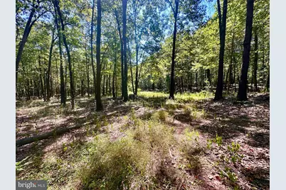 6805 Black Bear Road, Needmore, PA 17238 - Photo 29