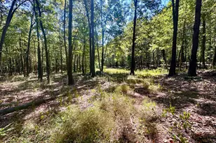 6805 Black Bear Rd, Needmore, PA 17238 - Photo 29