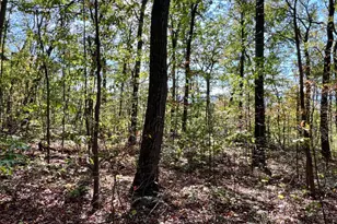 407 Woodlawn Dr, Breezewood, PA 15533 - Photo 19