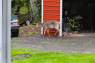 2160 Black Bear Rd, Needmore, PA 17238 - Photo 69