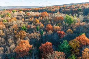 370 Kalers Loft Ln, Crystal Spring, PA 15536 - Photo 49