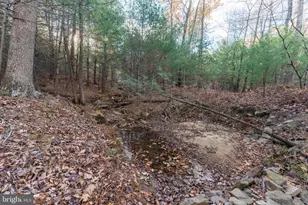 370 Kalers Loft Ln, Crystal Spring, PA 15536 - Photo 45