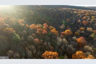 370 Kalers Loft Lane, Crystal Spring, PA 15536 - Photo 53