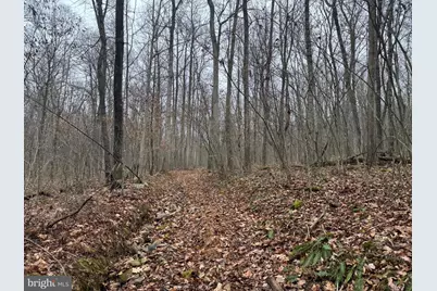 3014 Peach Orchard Road, McConnellsburg, PA 17233 - Photo 51