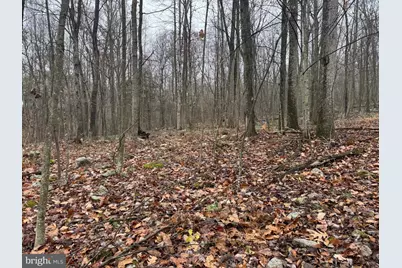 3014 Peach Orchard Road, McConnellsburg, PA 17233 - Photo 55