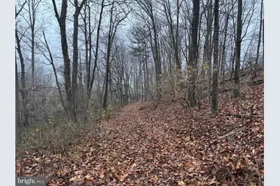 3014 Peach Orchard Road, McConnellsburg, PA 17233 - Photo 61