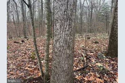 3014 Peach Orchard Road, McConnellsburg, PA 17233 - Photo 57