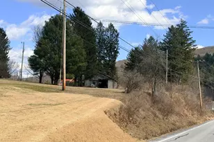 242 Gracey Rd, Waterfall, PA 16689 - Photo 39