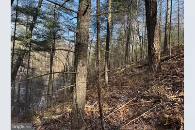 87+/- Acres Haven Ln, Warfordsburg, PA 17267 - Photo 87