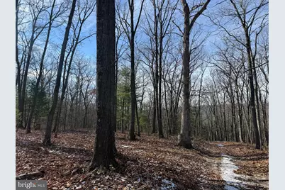 87+/- Acres Haven Ln, Warfordsburg, PA 17267 - Photo 31
