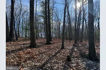 87+/- Acres Haven Ln, Warfordsburg, PA 17267 - Photo 33