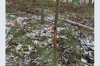 87+/- Acres Haven Ln, Warfordsburg, PA 17267 - Photo 99